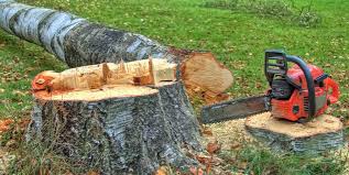  La Croft, OH Tree Services Pros