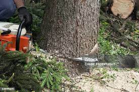 Best Firewood Processing and Delivery  in La Croft, OH