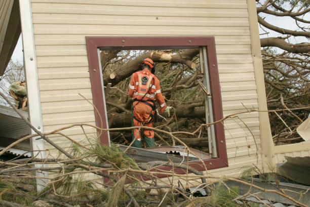 Best Tree Maintenance Programs  in La Croft, OH