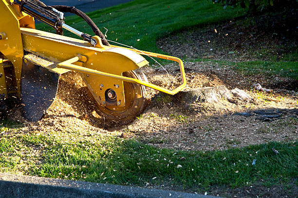 Best Lawn Grading and Leveling  in La Croft, OH