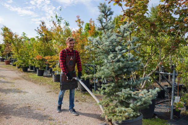 Best Tree Preservation Services  in La Croft, OH